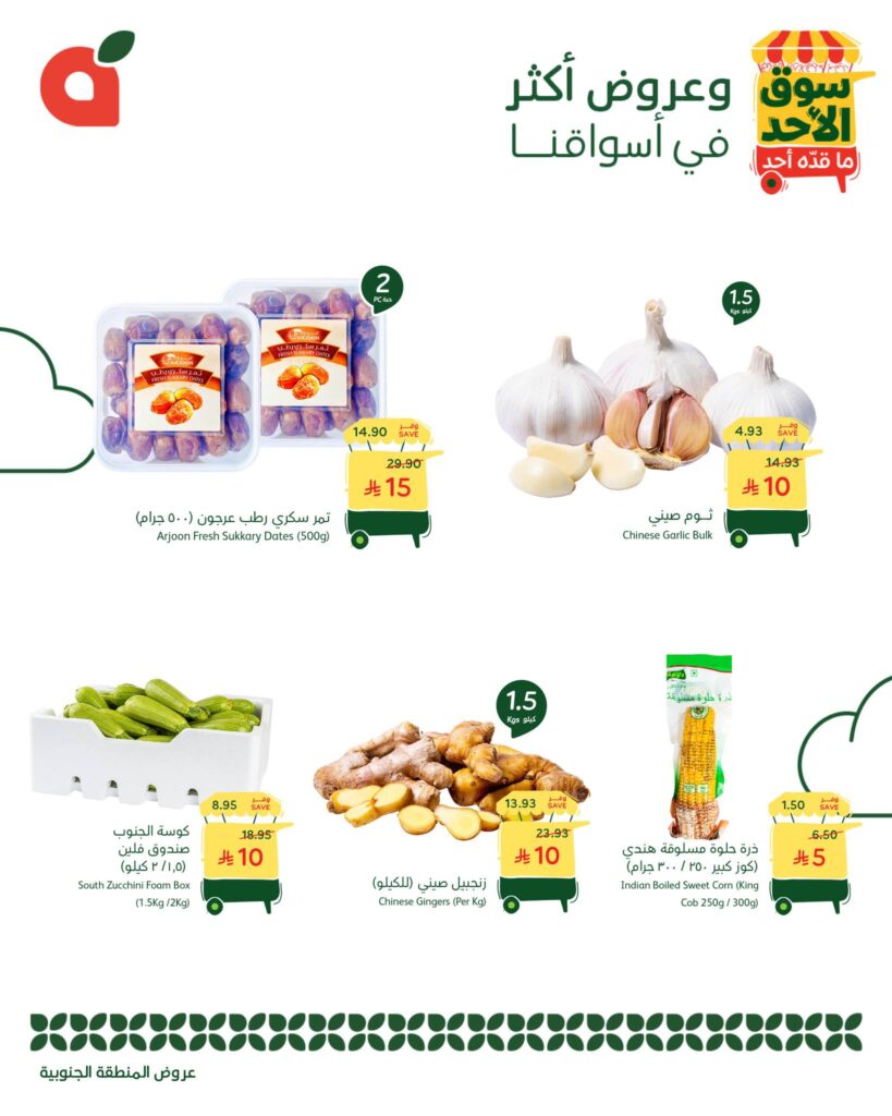 566215818 1219624526867124 1188938542736975955 n