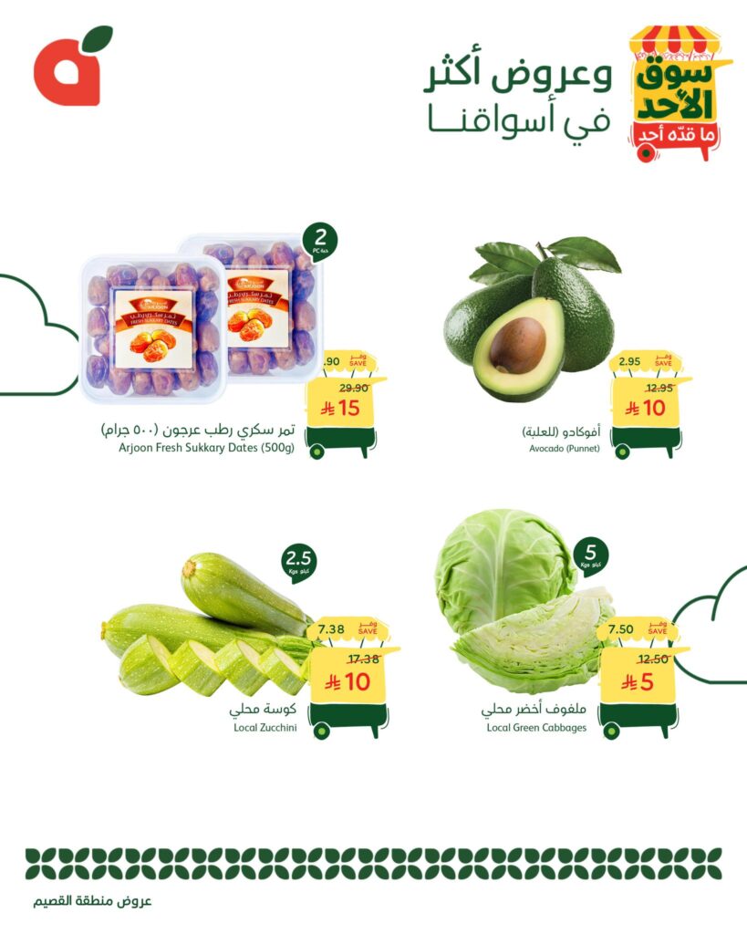 566246584 1219622563533987 934785620886382994 n