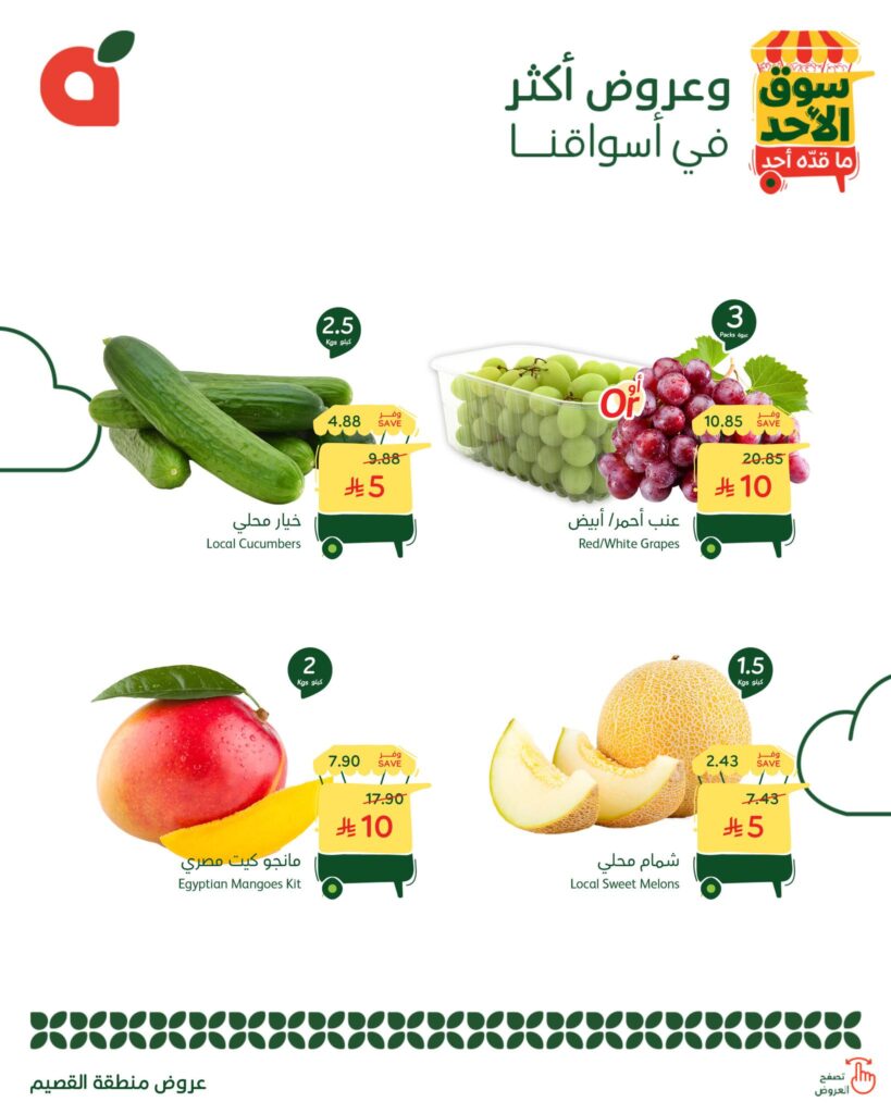 566387599 1219622546867322 7175351531434913646 n