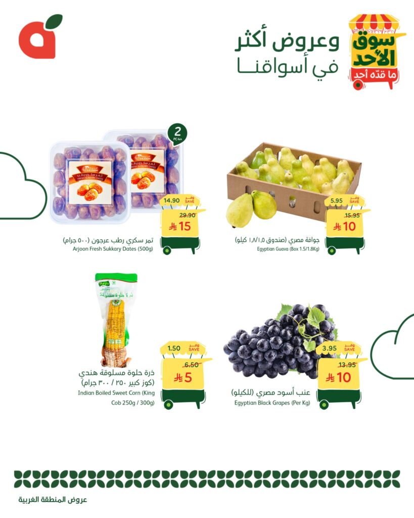 567654570 1219626106866966 5550125399496756247 n