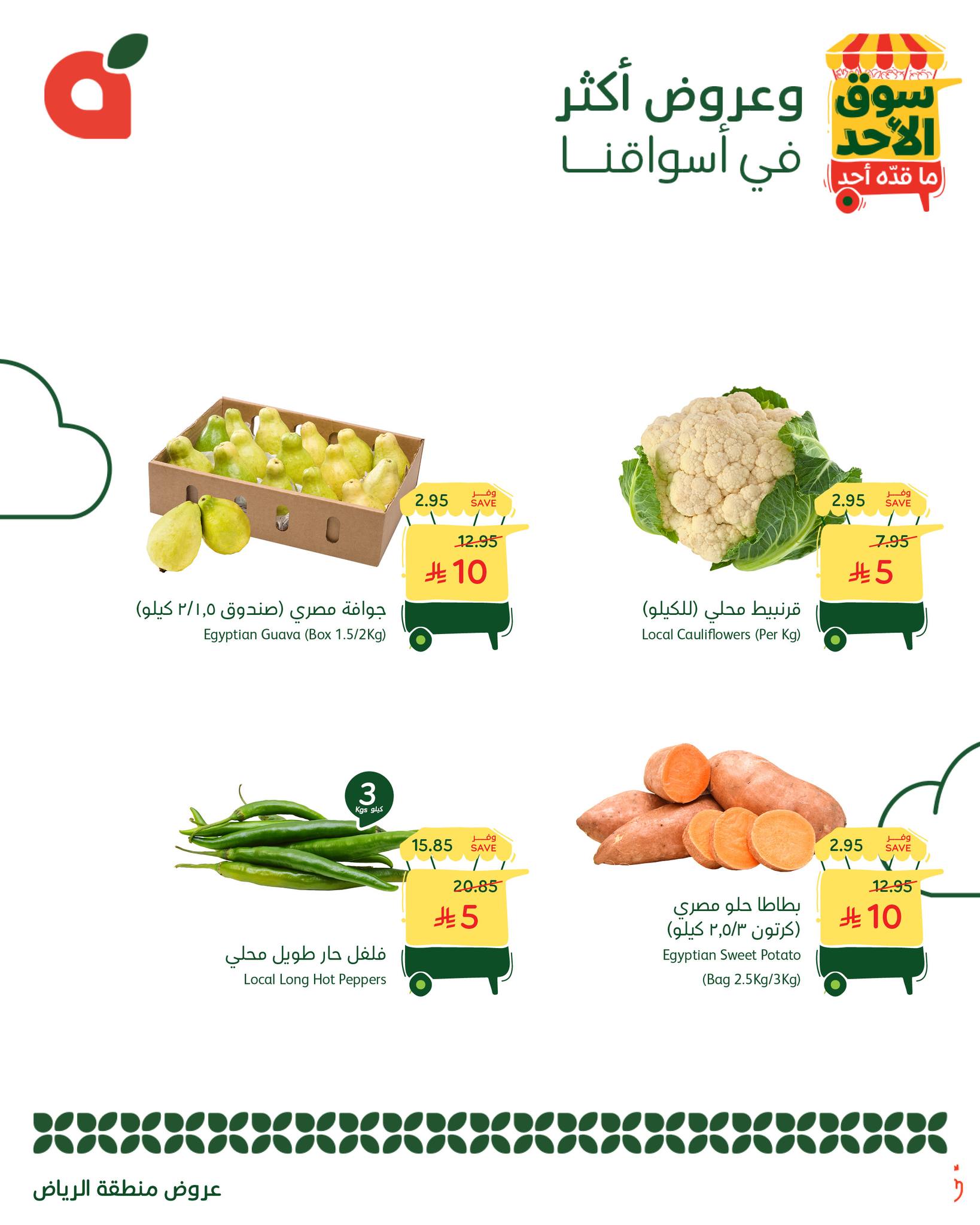 569892519 1225809952915248 5953460274895454970 n