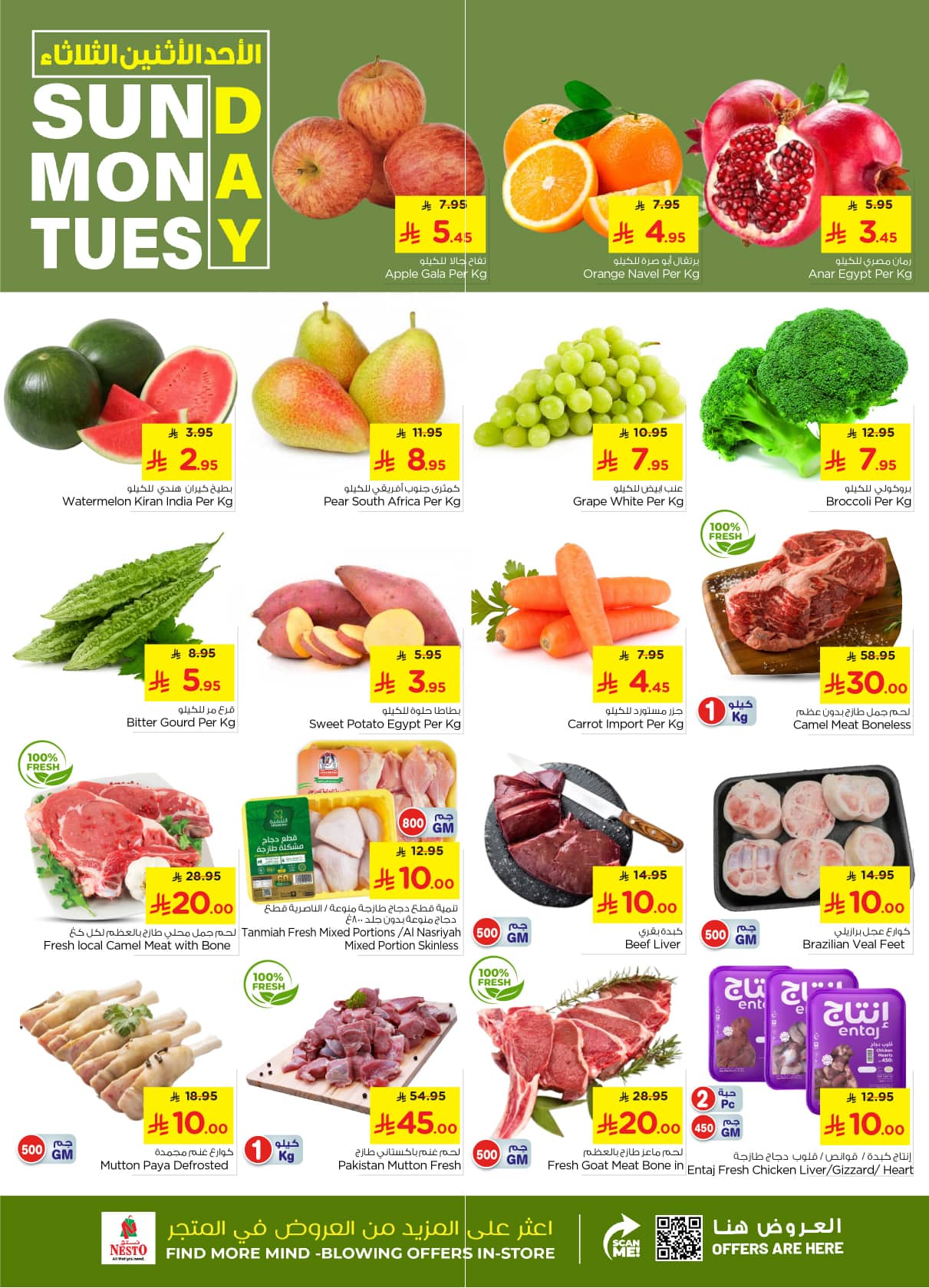 571099308 1204028521636046 8308009749881347072 n