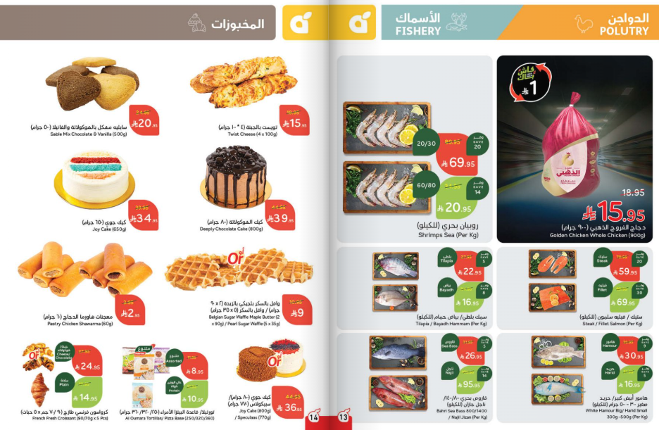 Snapshot ٢٥١٠٠١٠٠١٨٢٧