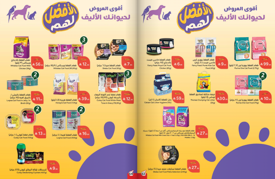 Snapshot ٢٥١٠٠٨٠٠٠٤٥١