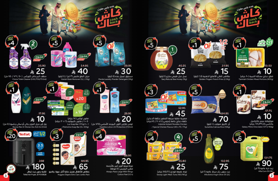 Snapshot ٢٥١٠٢٢٠٠٢٦٠٤