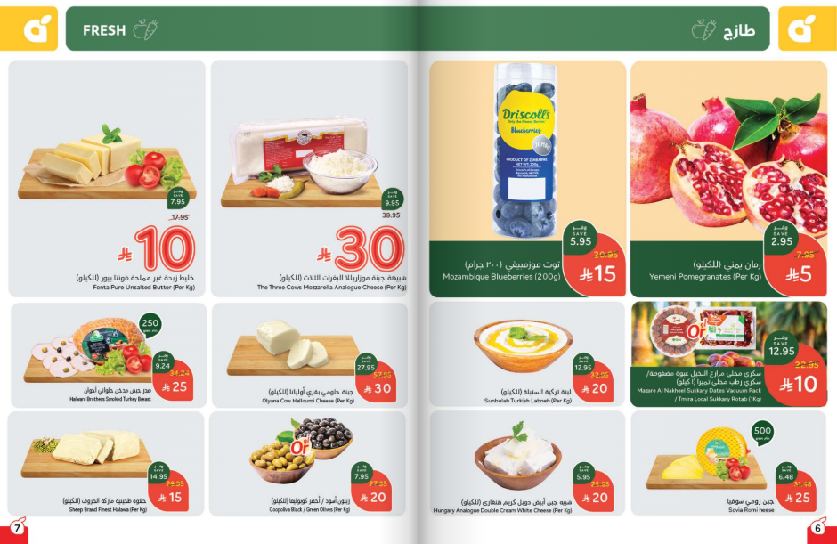 Snapshot ٢٥١٠٢٢٠٠٢٦٢٦