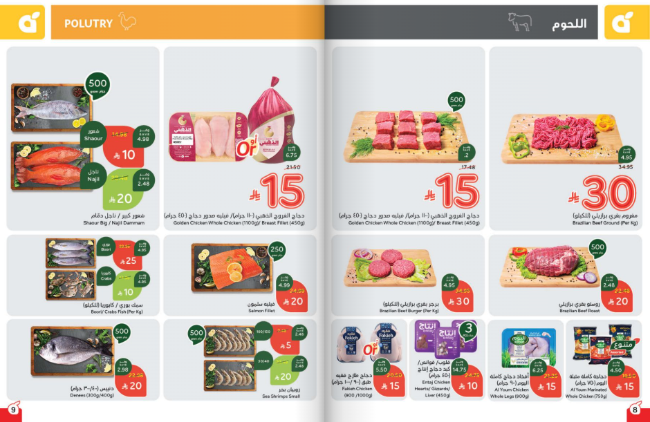 Snapshot ٢٥١٠٢٢٠٠٢٦٣٤