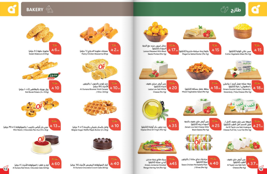 Snapshot ٢٥١٠٢٢٠٠٢٦٥٠