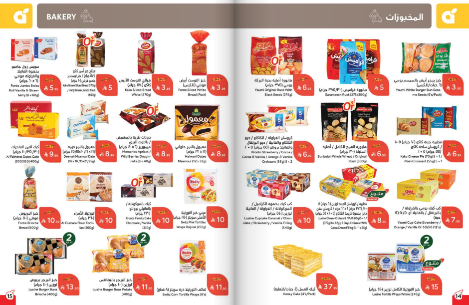 Snapshot ٢٥١٠٢٢٠٠٢٦٥٨