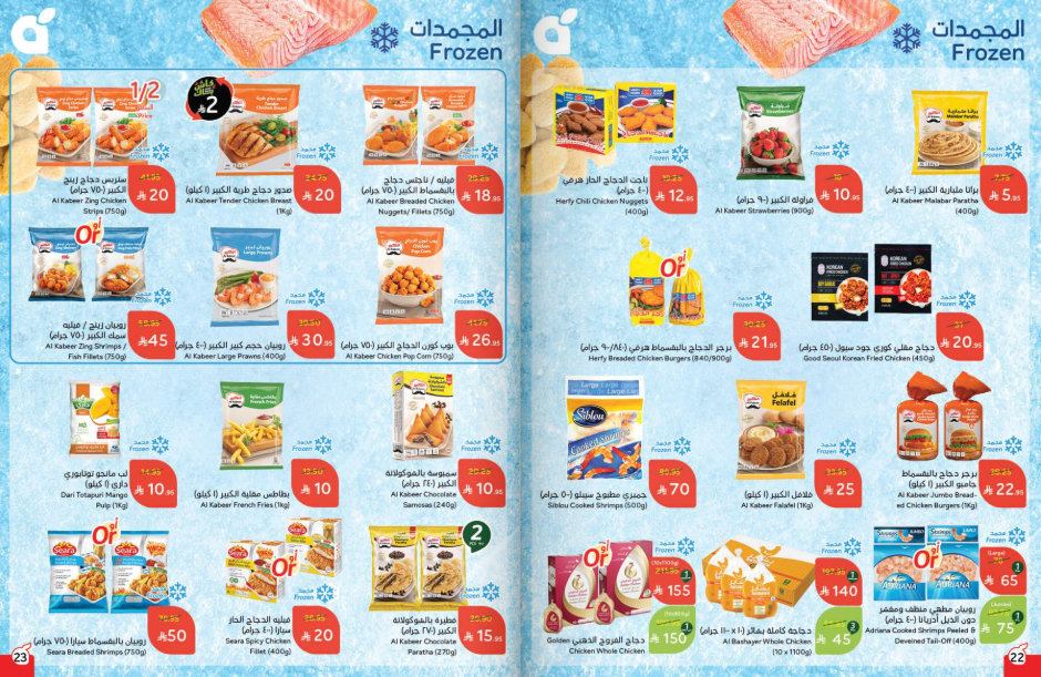 Snapshot ٢٥١٠٢٢٠٠٢٧٣٤