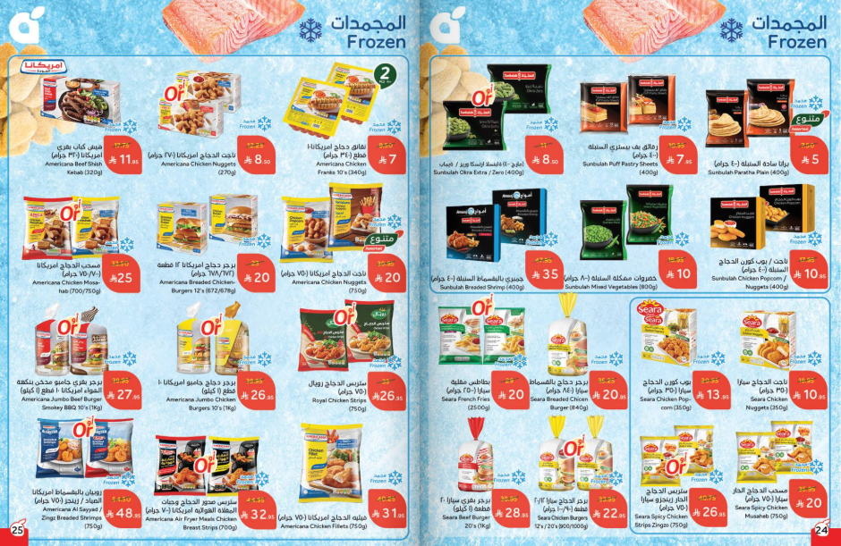 Snapshot ٢٥١٠٢٢٠٠٢٧٤٢