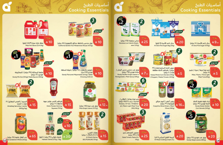 Snapshot ٢٥١٠٢٢٠٠٢٩٢٥