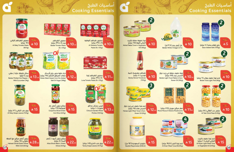 Snapshot ٢٥١٠٢٢٠٠٢٩٣١