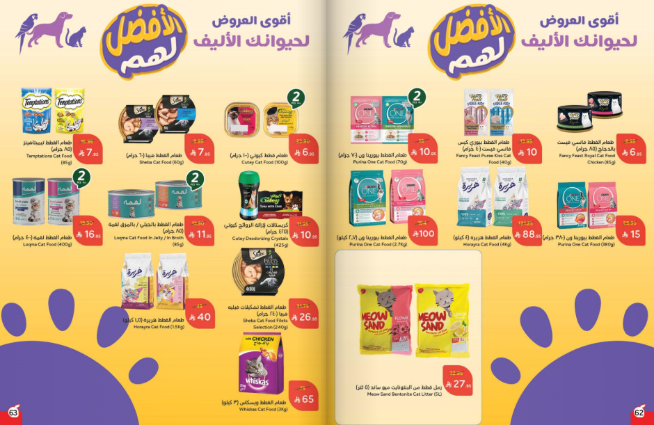 Snapshot ٢٥١٠٢٢٠٠٢٩٤٨