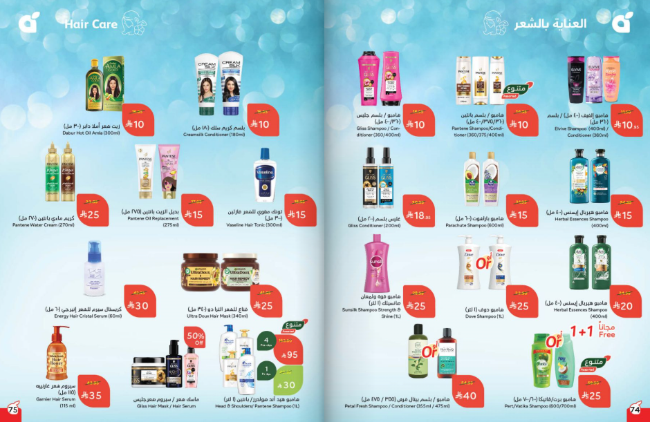 Snapshot ٢٥١٠٢٢٠٠٣٠٢٣