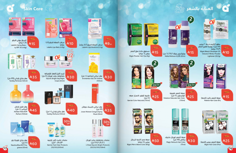 Snapshot ٢٥١٠٢٢٠٠٣٠٢٨