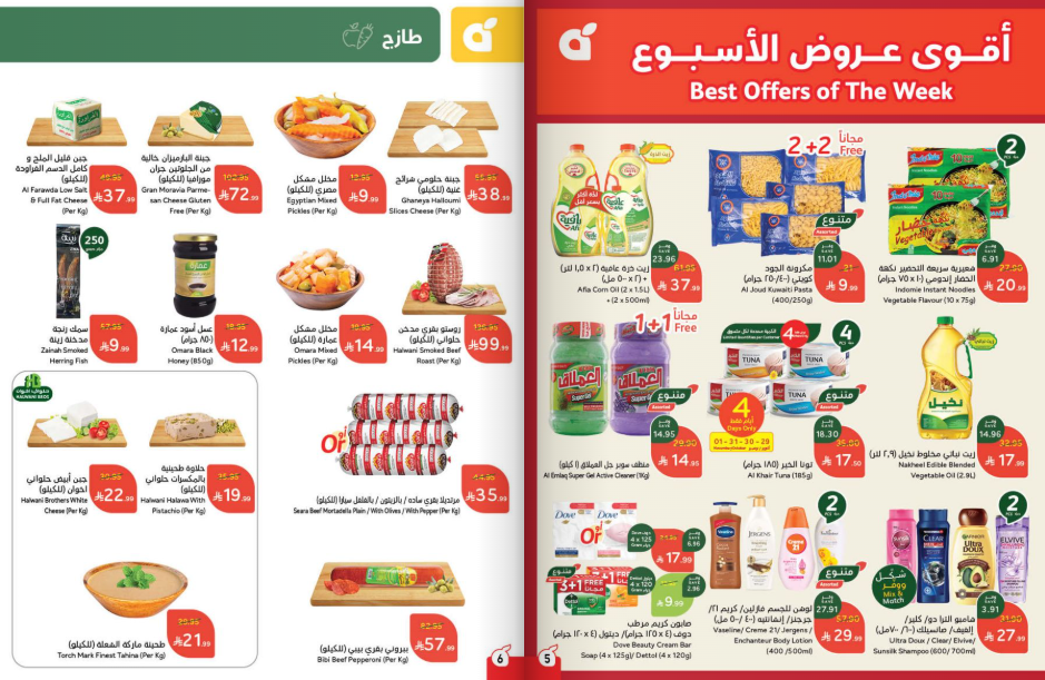 Snapshot ٢٥١٠٢٩٠٠٢٣٠٨