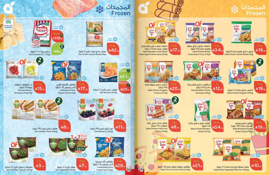 Snapshot ٢٥١٠٢٩٠٠٢٤٠٩