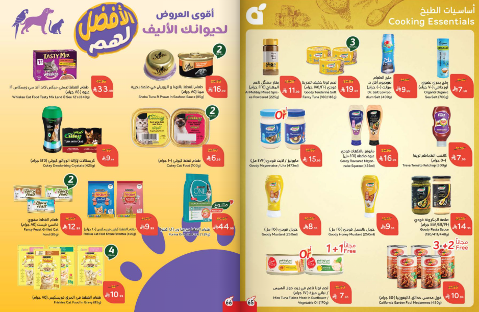 Snapshot ٢٥١٠٢٩٠٠٢٥٤٨