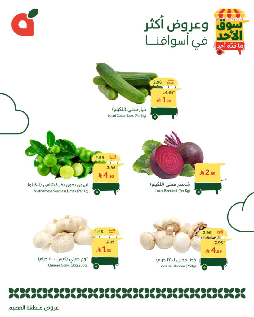 573642929 1231826165646960 2120110834460834311 n