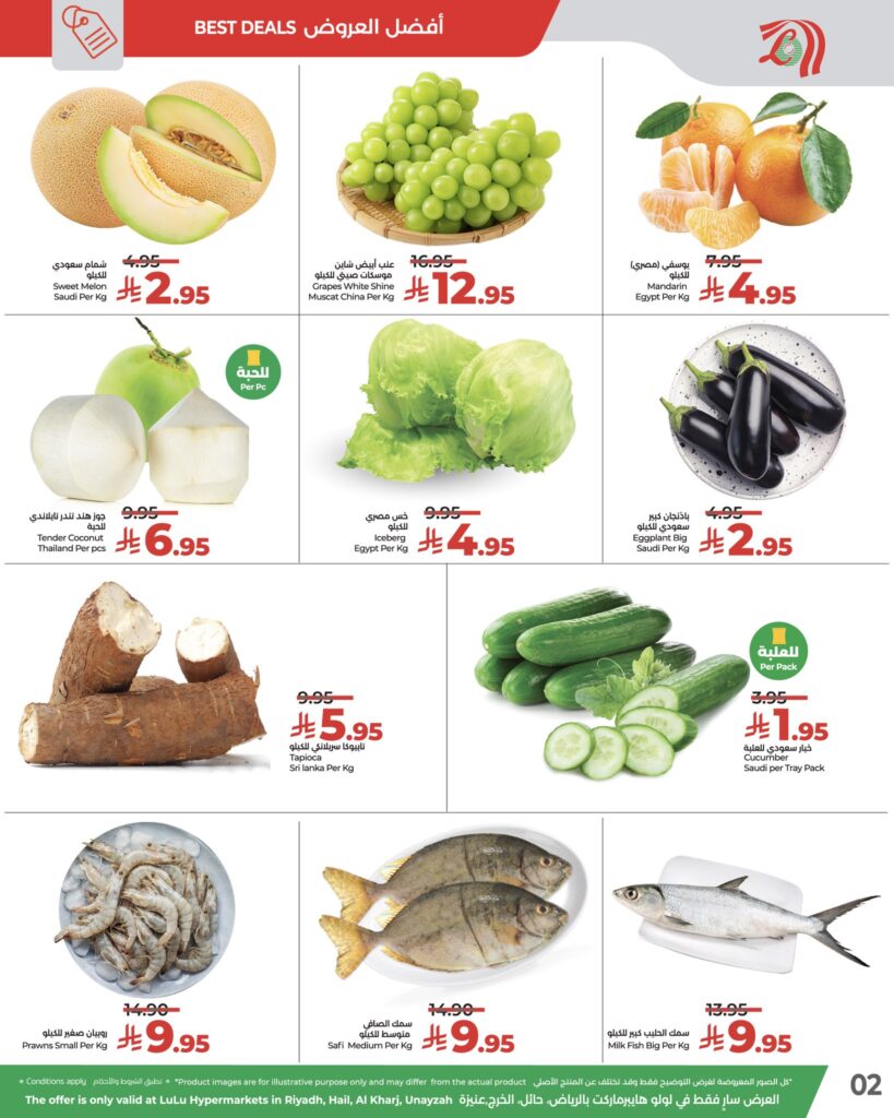 576473286 830094399543350 5010285666468678848 n