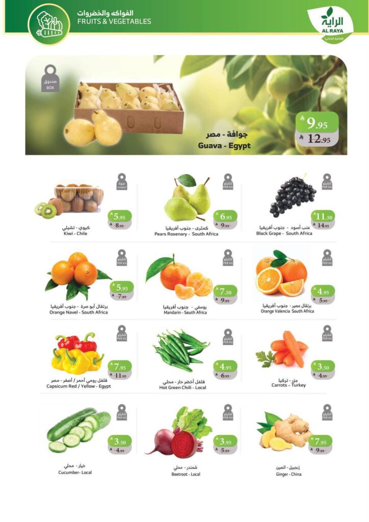 577165628 1134625088795727 832892195751335328 n