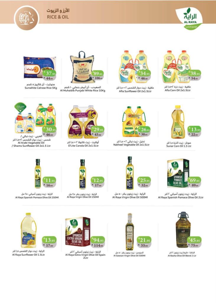 577422676 1134624605462442 817065835668850448 n