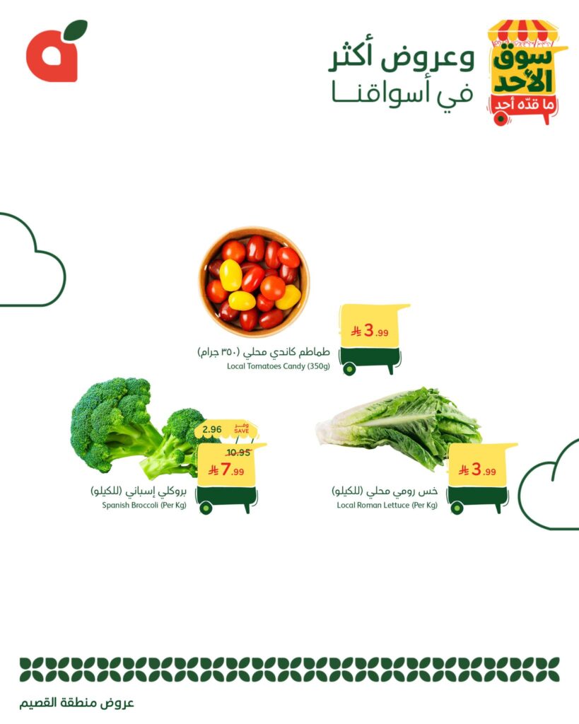 578243943 1237941718368738 8629397334339957718 n