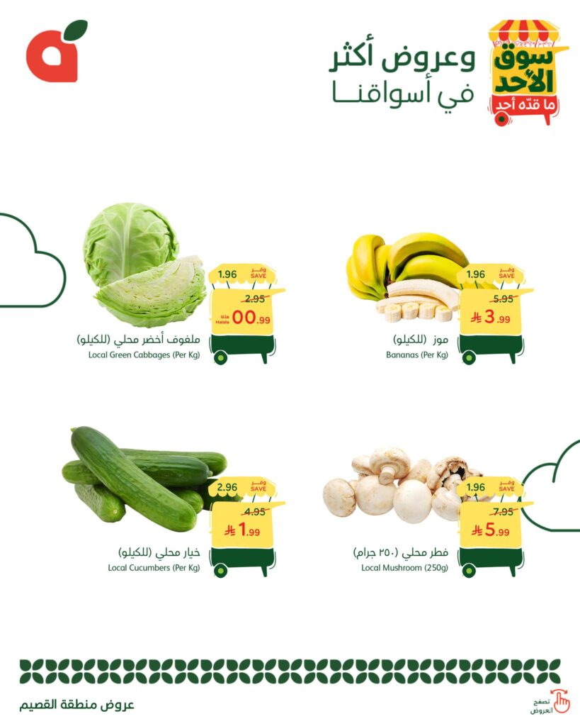 578746145 1237941728368737 5274590406649995210 n