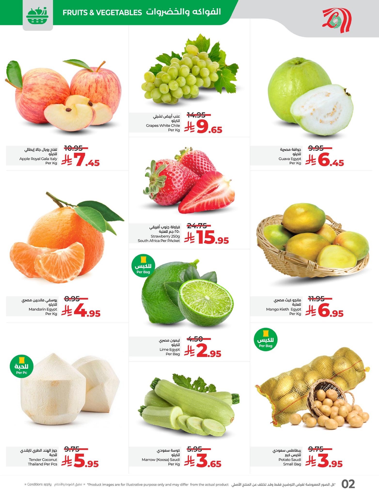 579099802 1267815592056684 6980385540596414990 n