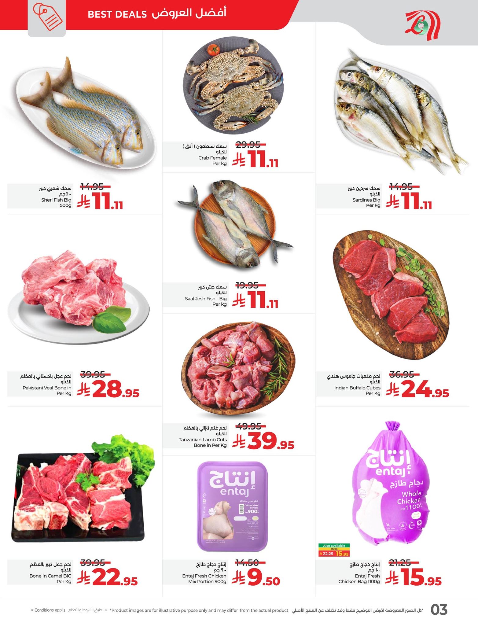 579426503 1267815642056679 4470062766102376236 n