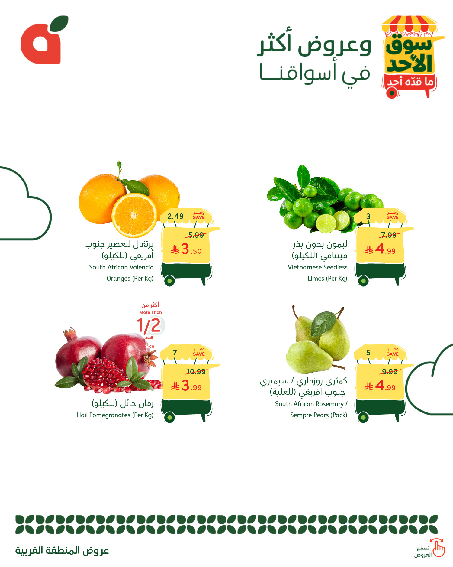 580929818 1242261021270141 8697887568376897410 n