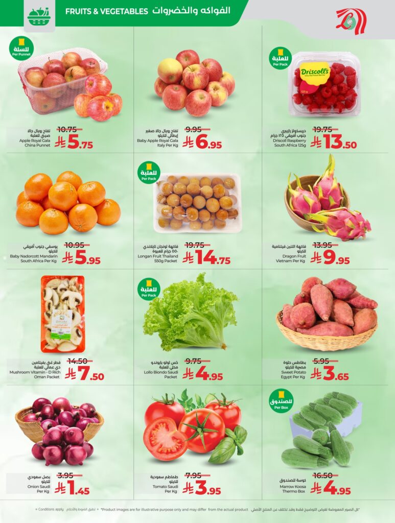 585496400 1306098098223132 5737029864545463762 n