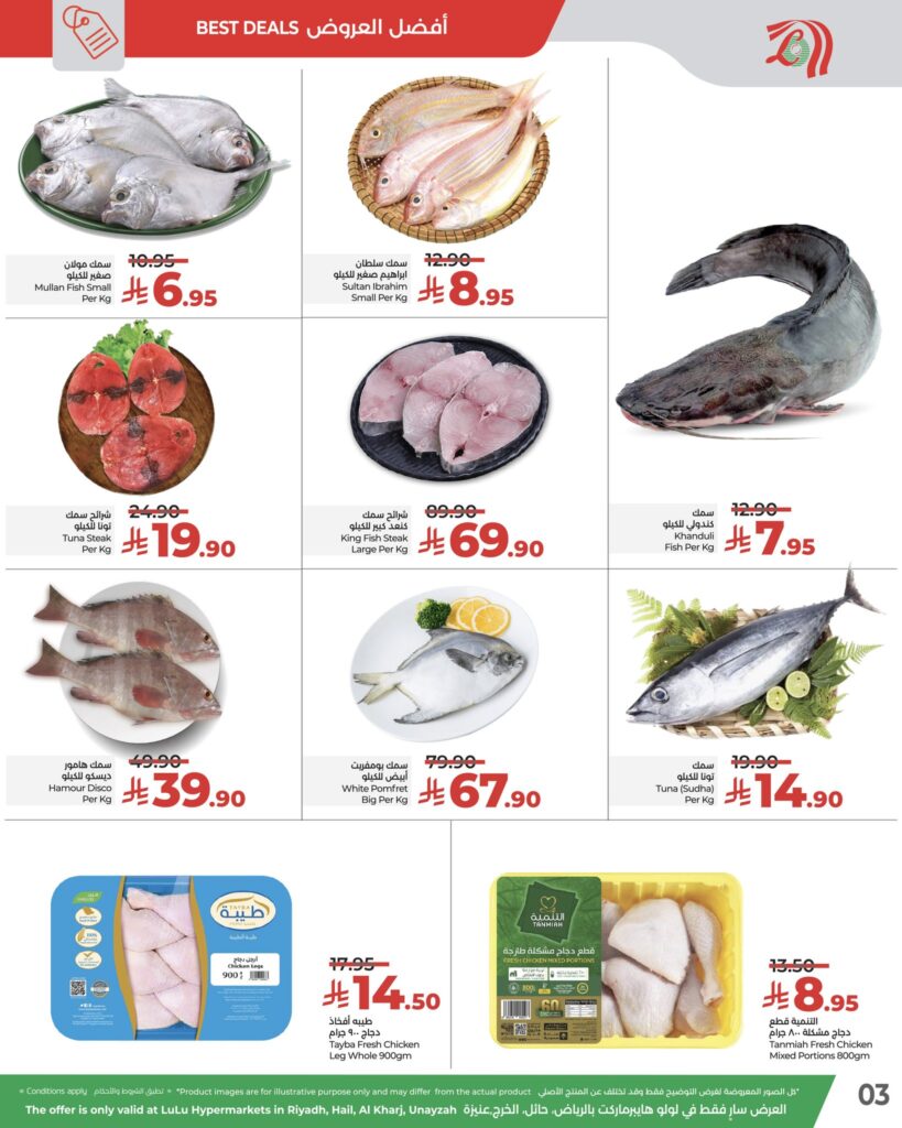 585890401 846875047865285 7273453988556831371 n