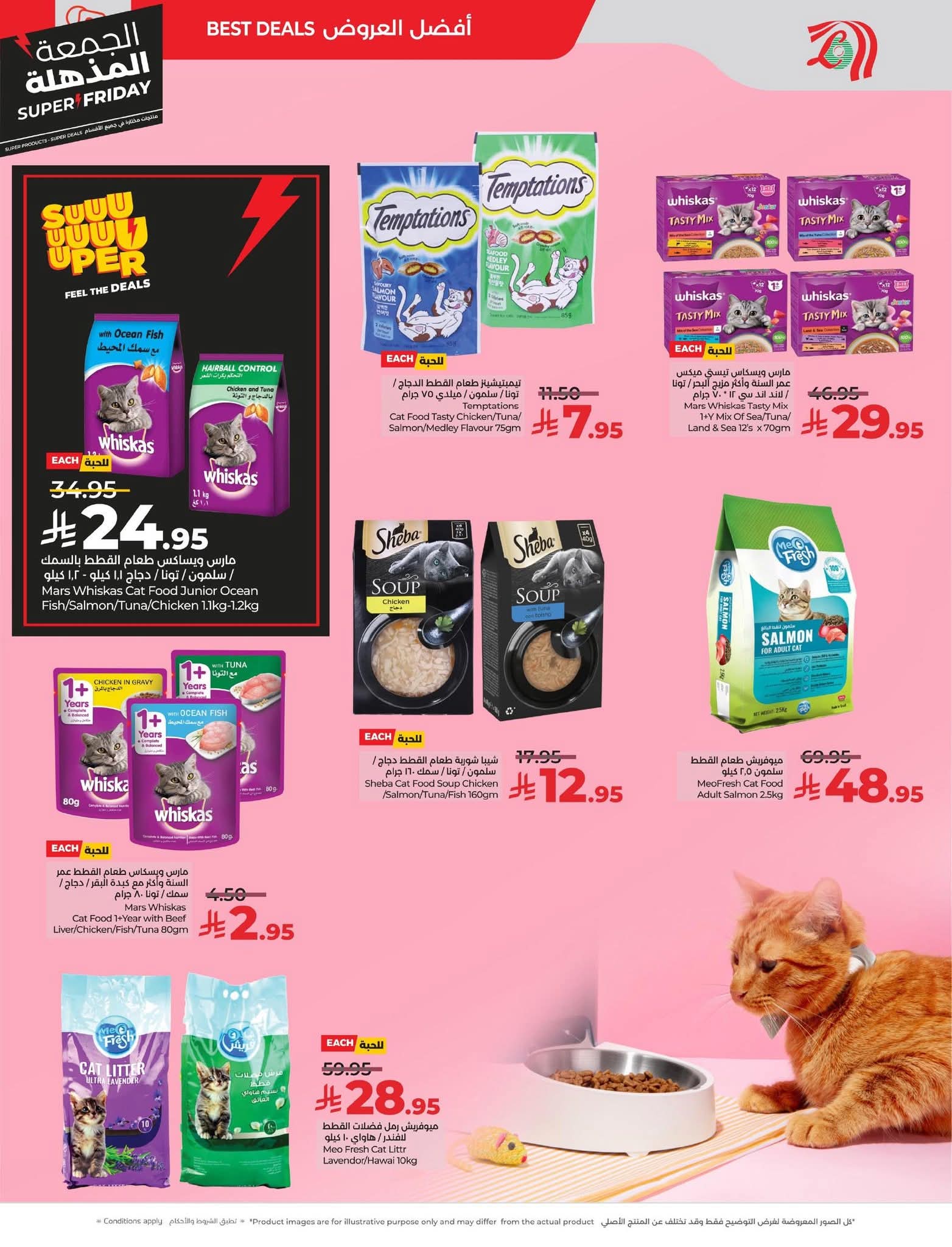 FB IMG 1763493324171