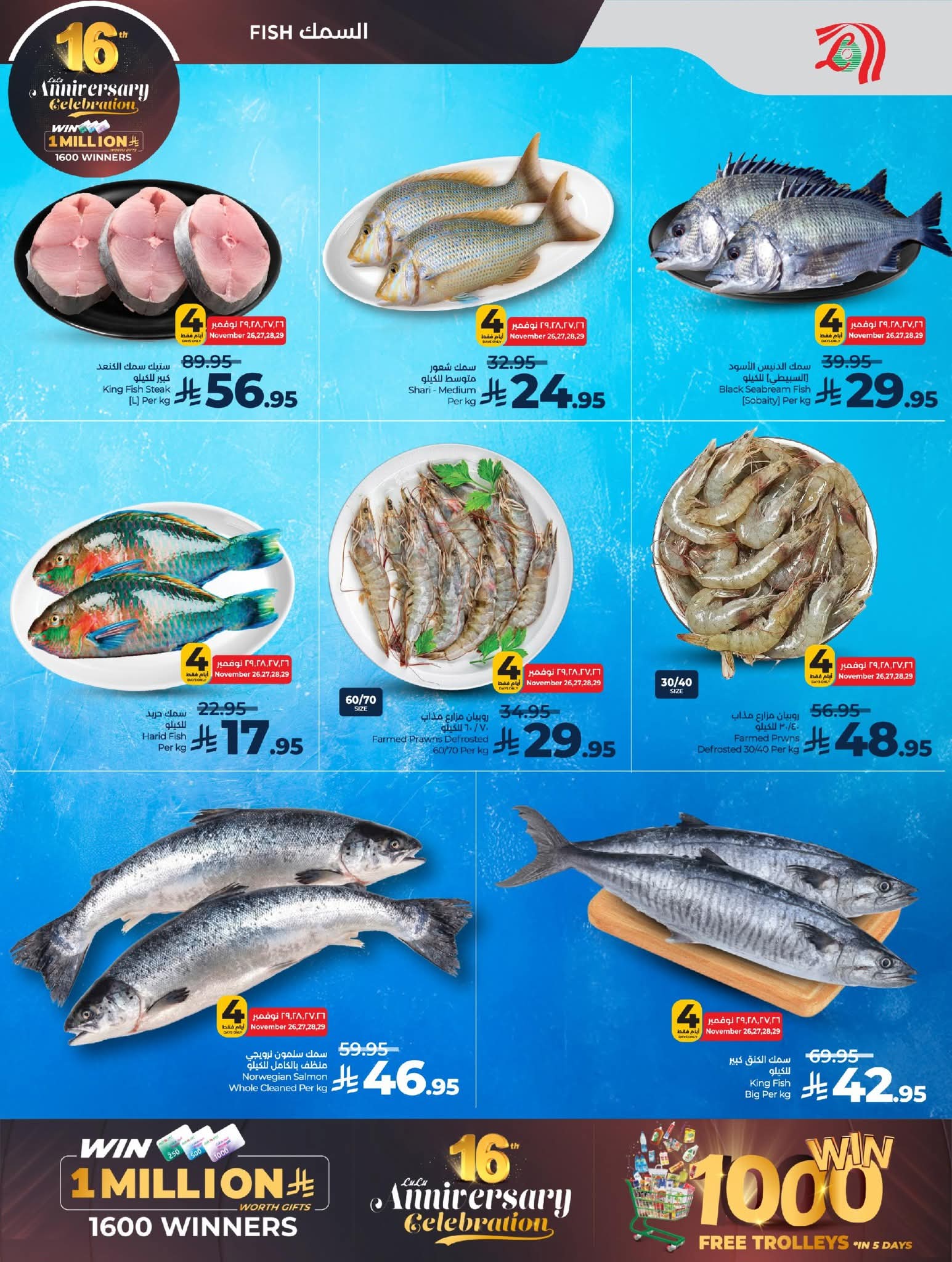 FB IMG 1764144260568