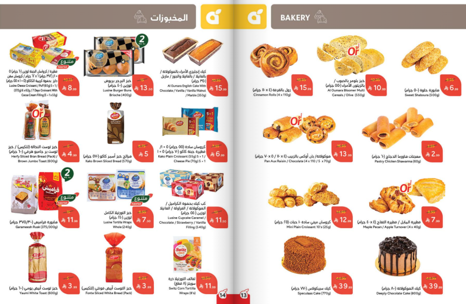 Snapshot ٢٥١١٠٥٠٩٤٩٢٧