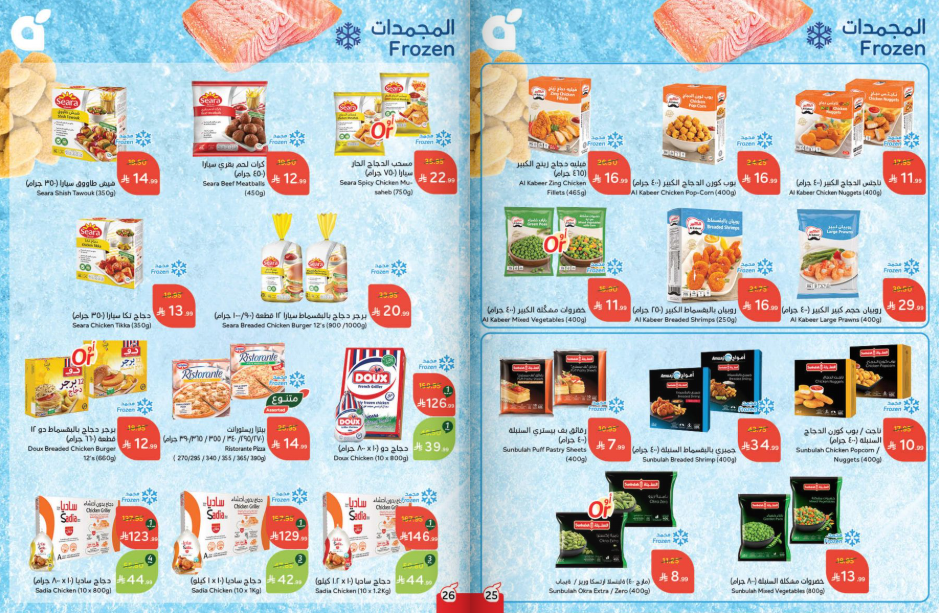 Snapshot ٢٥١١٠٥٠٩٥٠٠٣