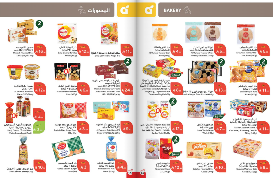 Snapshot ٢٥١١١٩٠٠١١٢٤