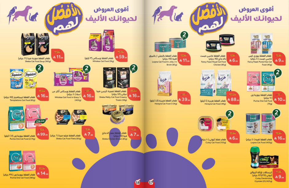 Snapshot ٢٥١١١٩٠٠١٣١٩