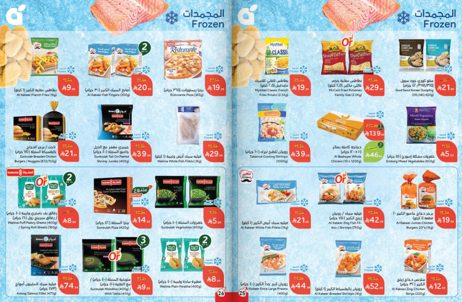 Snapshot ٢٥١١٢٦٠٠١٩٢٤