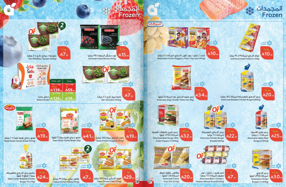 Snapshot ٢٥١١٢٦٠٠١٩٢٩