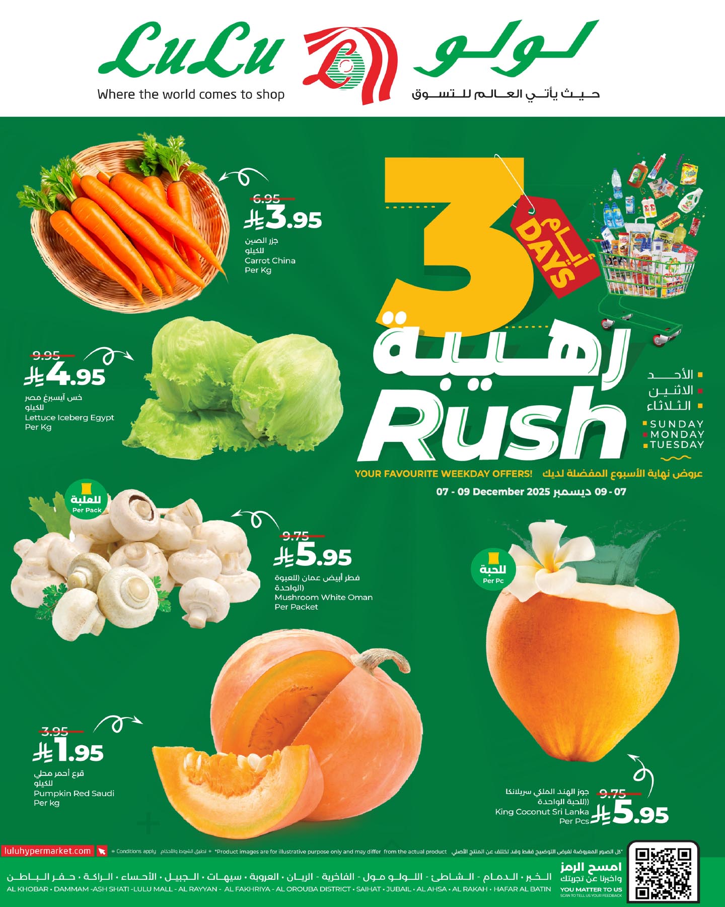 594870680 1290176133153963 7936666280390631543 n