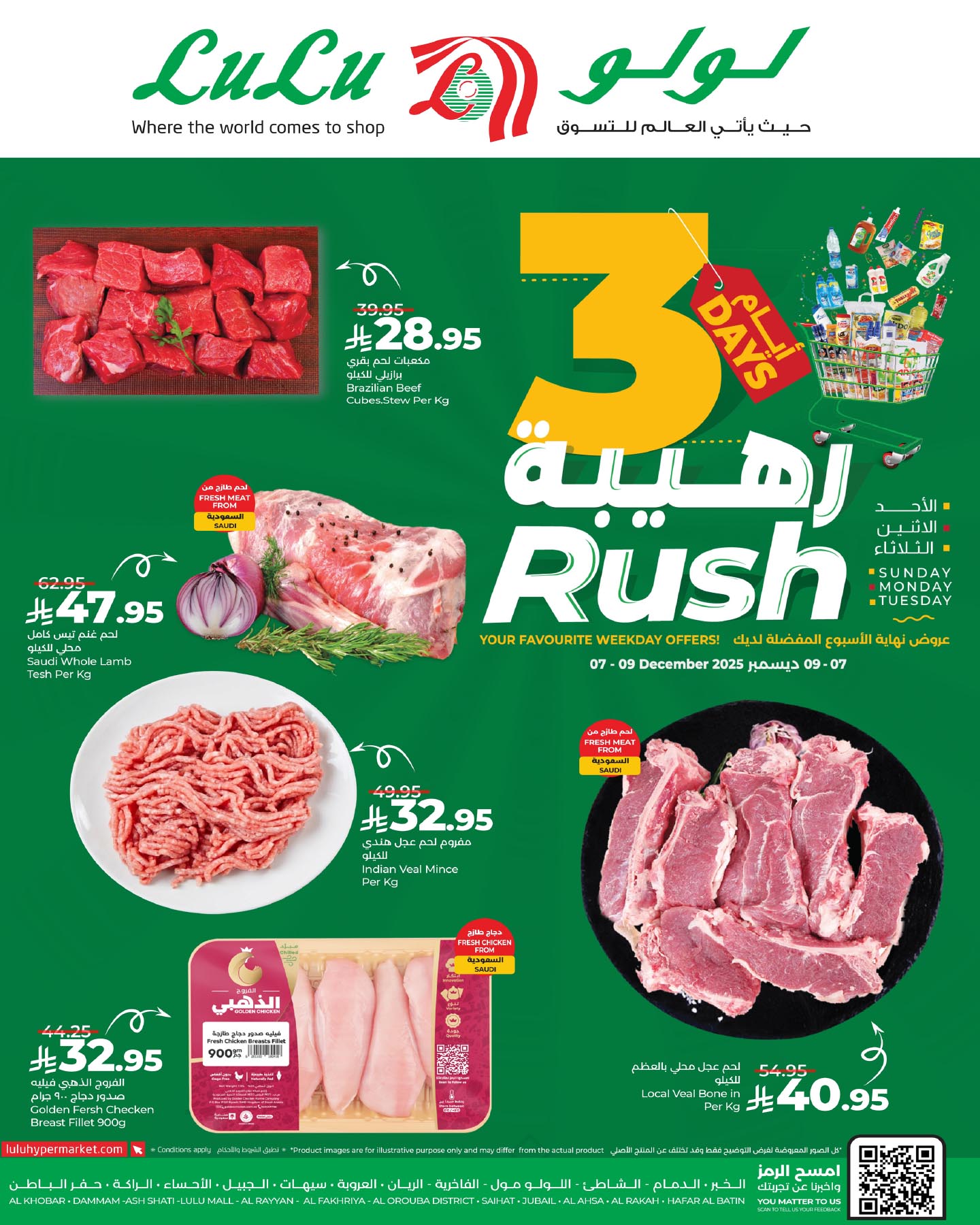 595508292 1290176199820623 965284404299565301 n