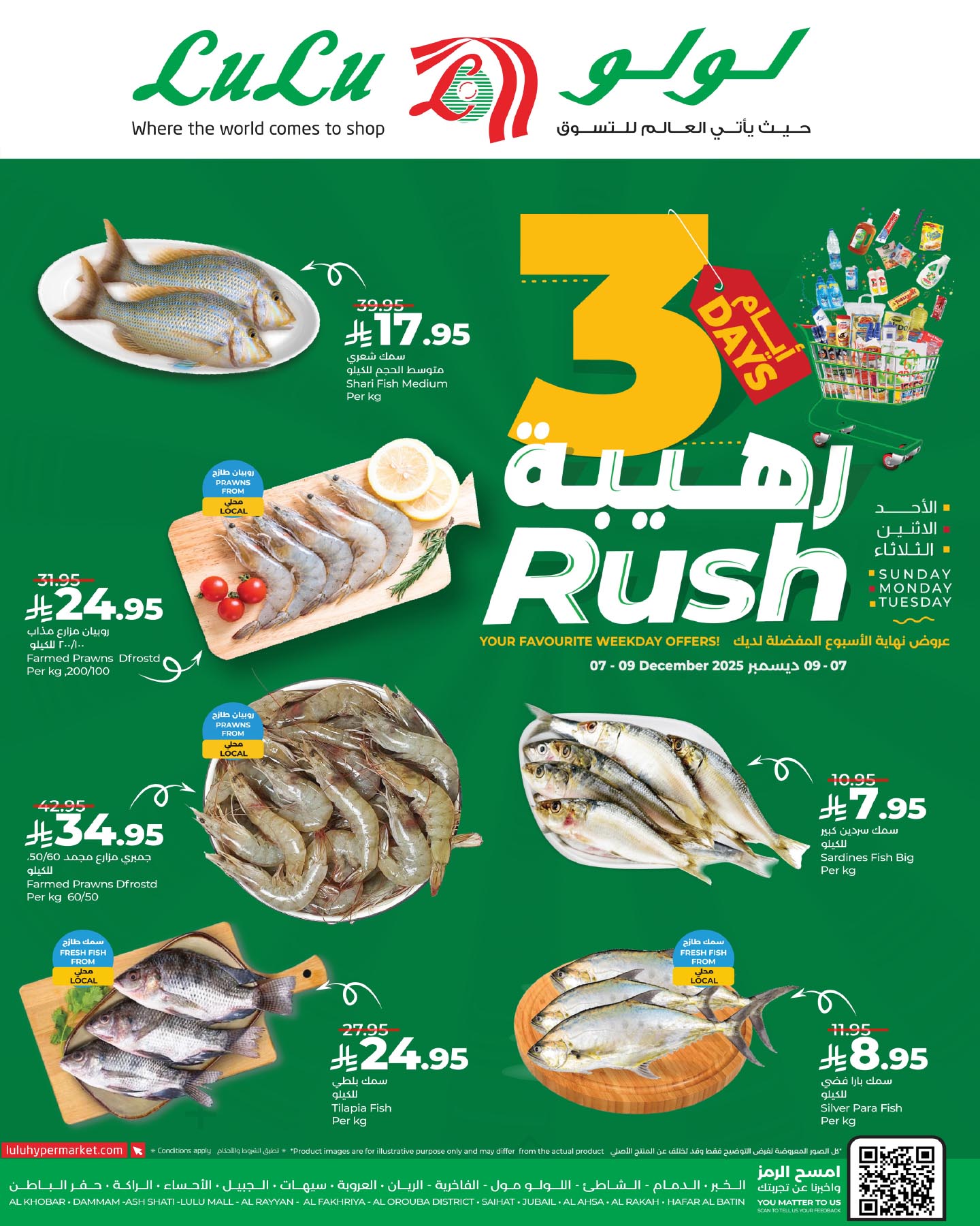 595588504 1290176166487293 6598218154896533715 n