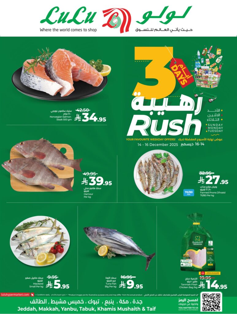 597353593 1322834236549518 3562732618968677707 n