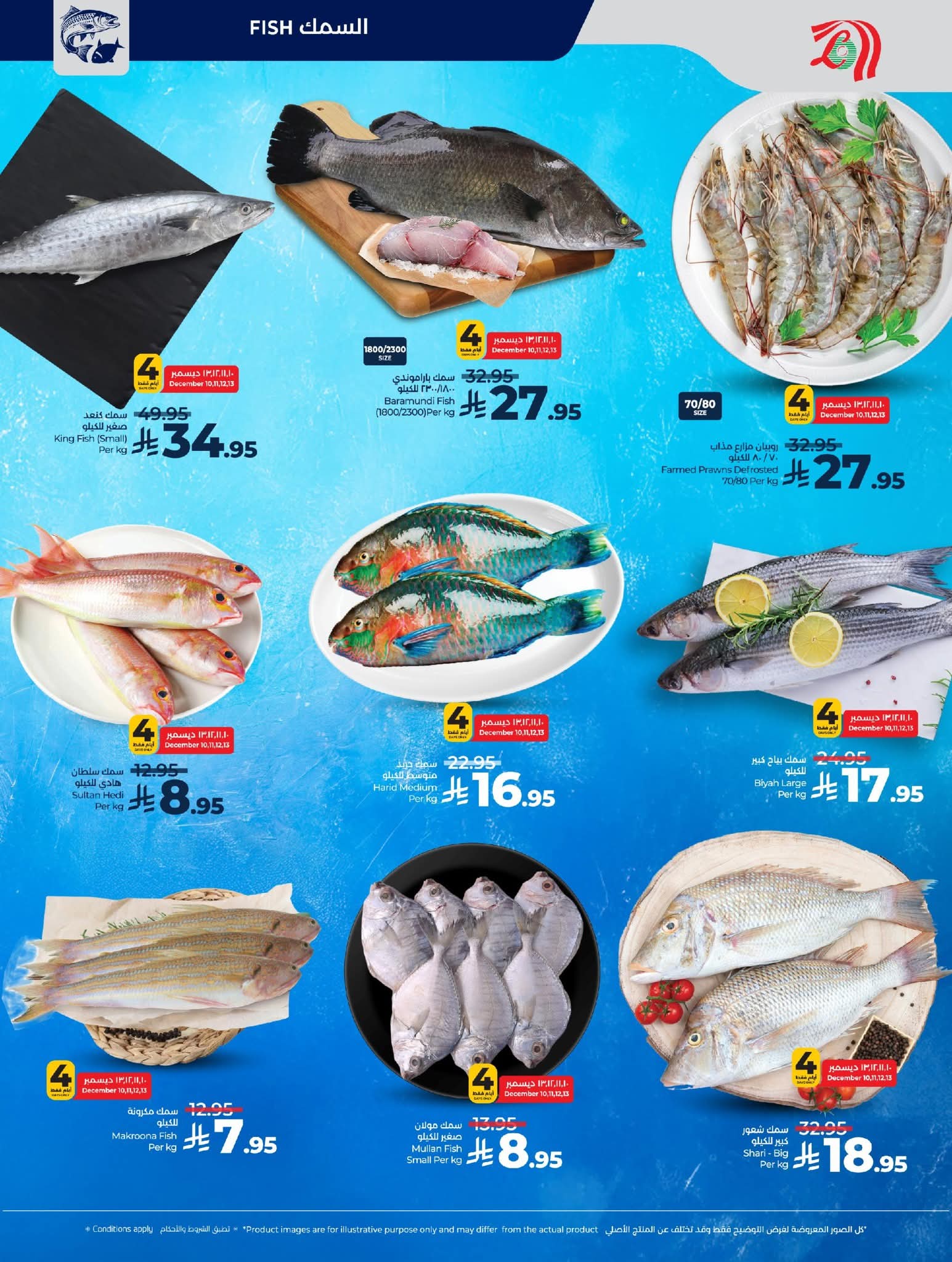 FB IMG 1765295305728