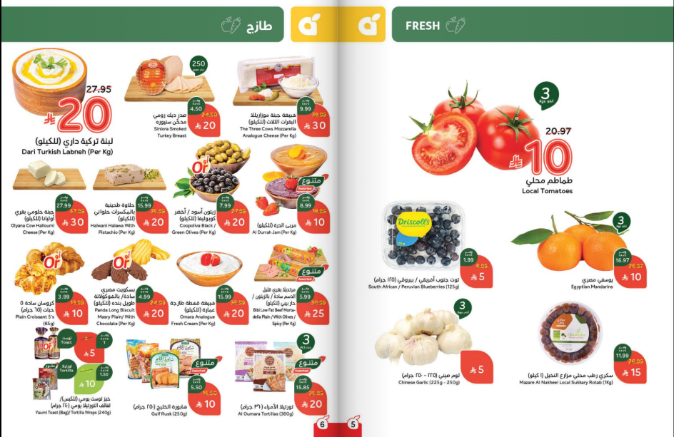 Snapshot ٢٥١٢٠٣٠٠٠٧٣٤