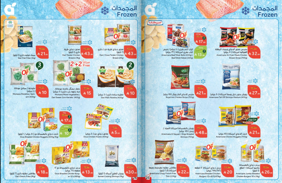 Snapshot ٢٥١٢٠٣٠٠٠٨٢٦