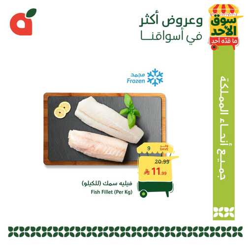 عروض بنده اليوم من تاريخ 24 مايو 2026 - الموافق 7 ذي الحجة 1447 عروض الاحد الطازج 4 706317348 1398214262341482 5506946974081458784 n